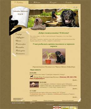 Создание web сайта, портфолио дизайн сайта www.labrador-dm.ru